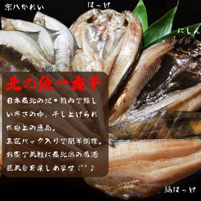 ふるさと納税 稚内市 【毎月定期便】【北海道の居酒屋気分】一夜干し 4種セット ほっけ 縞ほっけ 鰊 宗八かれい全2回 |  | 01