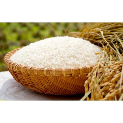 ふるさと納税 竜王町 令和6年産　近江米【みずかがみ10kg】 |  | 01