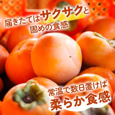 ふるさと納税 本巣市 丸金青果 富有柿 2Lサイズ (12個入) 低温追熟【甘みがきわだつ、低温追熟した富有柿をお届け!】 |  | 01