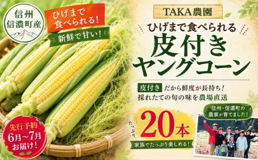 【先行予約】皮付きヤングコーン≪20本≫令和9年6月・7月限定出荷 黒姫高原 とうもろこし 恵味／TAKA農園【長野県信濃町】