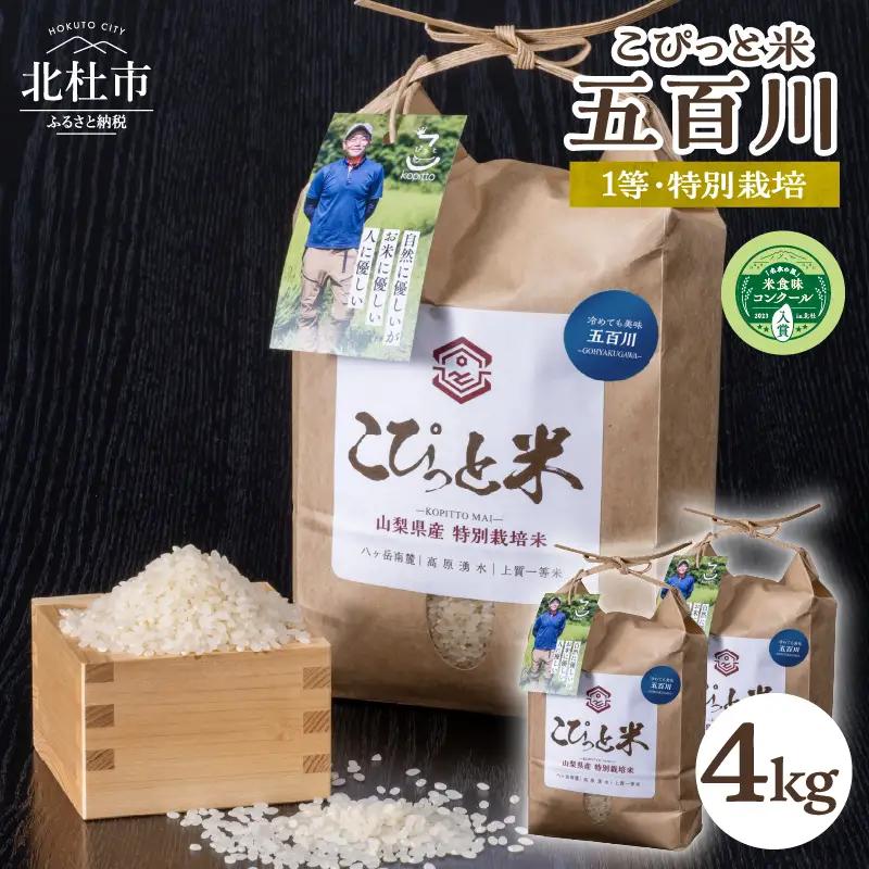 【先行予約】【令和8年度新米】こぴっと米【五百川】4kg 1等特別栽培米100％ [h020]