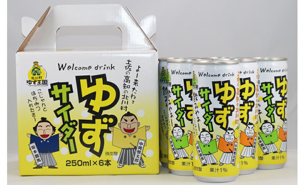 【ふるさと納税】 柚子北川村ゆずサイダー 6本セット