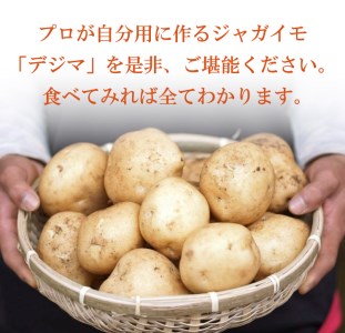 【期間限定発送】 じゃがいも なんぐしデジマ 秋作 5kg [なんぐしデジマプロジェクトチーム 長崎県 雲仙市 item2163] ジャガイモ 野菜 デジマ 5キロ 秋じゃが
