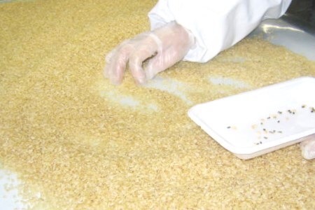 定期便 隔月 3ヶ月 簡単に炊ける 宮城県産 ひとめぼれ 発芽玄米 計3kg(1kg×3回) / 菅原商店 / 宮城県 加美町 sg-hb01-hg-k3