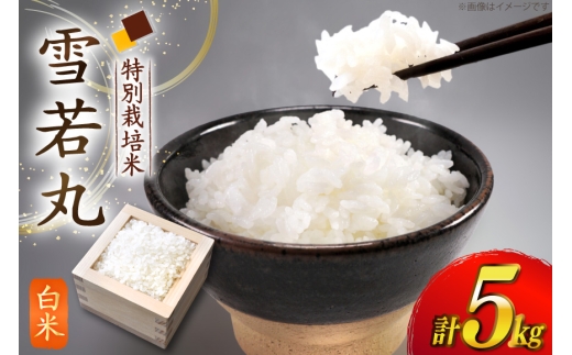米 令和7年度 特別栽培米 雪若丸 白米 5kg [上和田有機米生産組合 山形県 高畠町 tk06ays640020] ふるさと納税 お米 精米 ブランド米 ごはん ご飯 おこめ おコメ 10キロ 令和7年 令和7年産