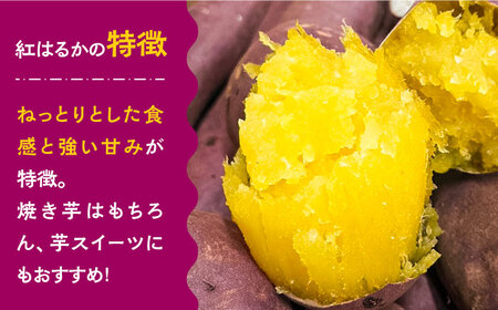 【お試し】【ねっとり甘い熟成サツマイモ】冷凍焼き芋（紅はるか） 3本(S～M) / さつまいも やき芋 冷凍 小分け 個包装 / 南島原市 / 池田海陸物産[SEW005]