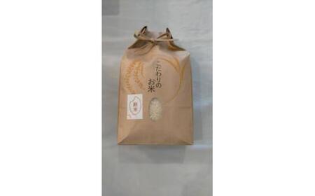 令和7年産 白米  5kg　ykj01