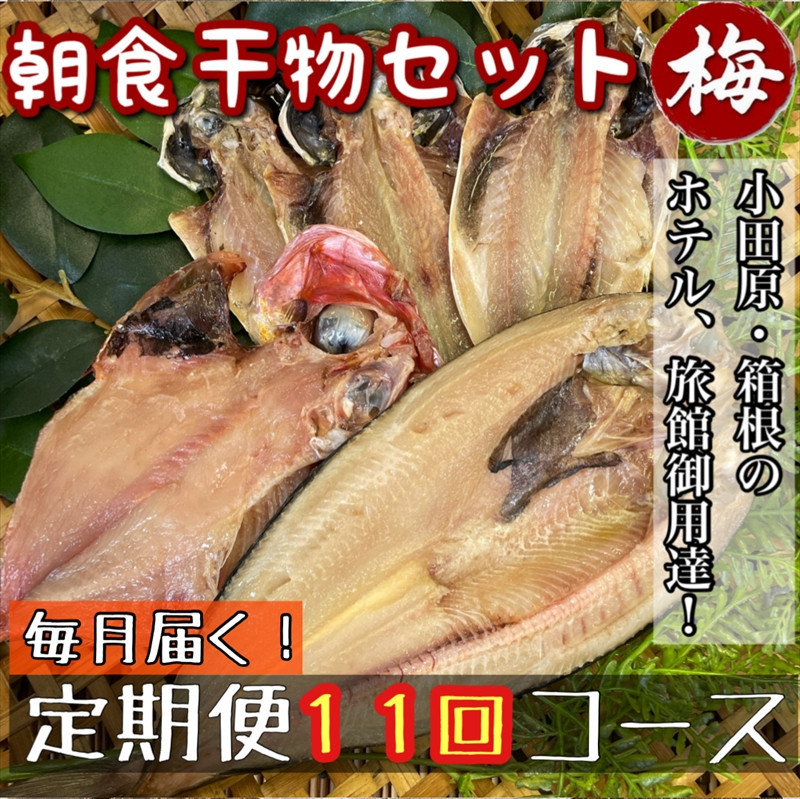 【毎月定期便11回】小田原、箱根の旅館、ホテル御用達！朝食干物セット 梅【 まぐろや 神奈川県小田原市 】 142069_DQ218