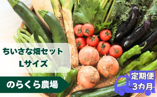 【先行受付】定期便3カ月　ちいさな畑セット（Lサイズ　３～４人前）（NK-T506）