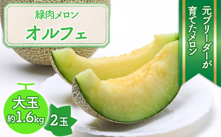 ※予約受付M-AG15.【6月～7月頃発送】特大ネットメロン 2玉 緑肉種「オルフェ」