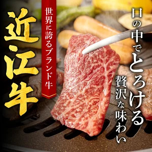 近江牛ロース厚切りスライス1kg　E-G05　肉の大助  東近江