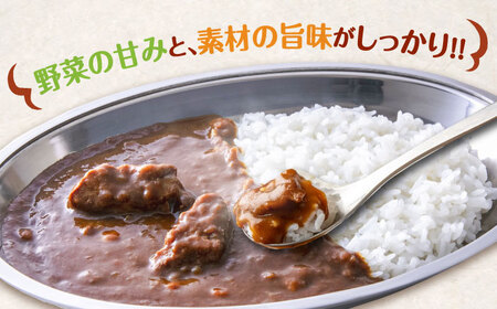 【7月下旬より発送】ご当地カレー！海上自衛隊公認！マグカップ付き江田島海自カレー 4種 オリジナルセット シーフード キーマ 豚肉 牡蠣 レトルト 保存食 簡単 レシピ 江田島市/江田島商工会(e's