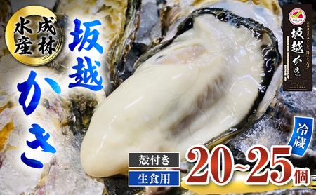 牡蠣 生食用 坂越かき 殻付き 20～25個 成林水産 [ 生牡蠣 真牡蠣 かき カキ 冬牡蠣 ] 魚貝類 海鮮 海のミルク 身が大きい 濃厚 