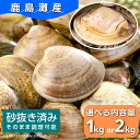 【ふるさと納税】 手間なく美味しい 《鹿島灘産 はまぐり》 選べる内容量 1kg 2kg ハマグリ