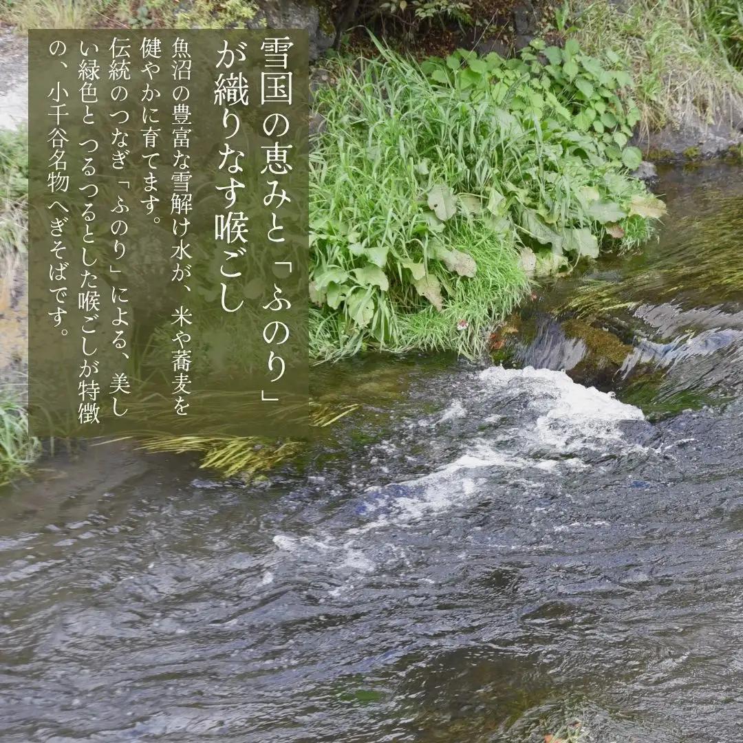 蕎麦 12束 布海苔(ふのり) たかの 蕎麦