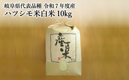 【岐阜県代表品種】　令和7年産　ハツシモ米　白米10kg　L8 【11月20日以降順次発送】