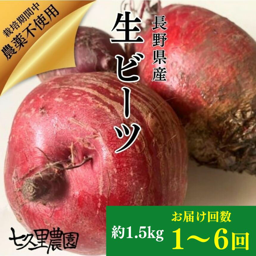 【ふるさと納税】レッドパワービーツ 約1.5kg【 お試し 1回 or 6回 定期便 】| 野菜 ビーツ レッドパワー レッドパワービーツ 定期 長野県 信州 南信州 飯田市