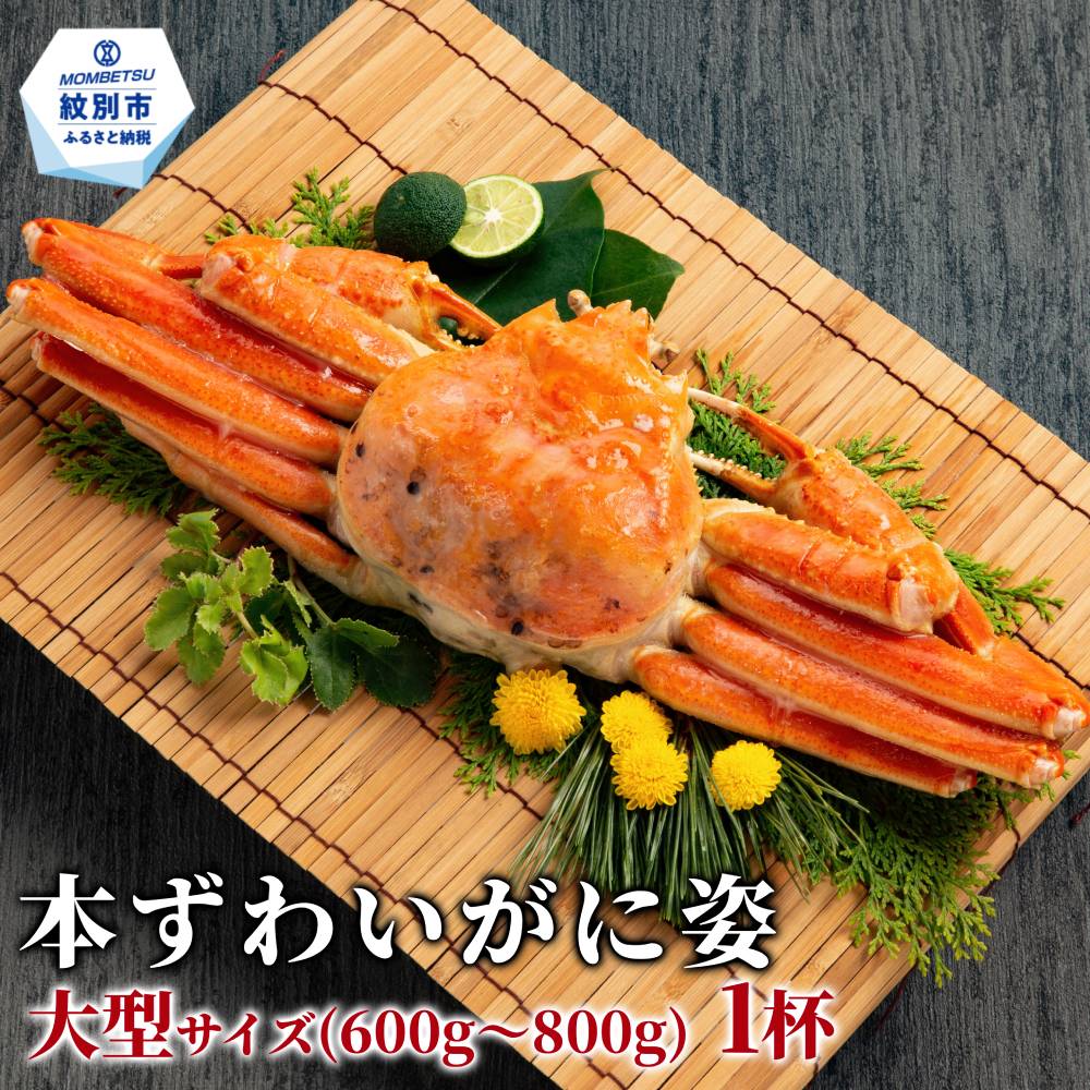 12-334 本ずわいがに姿 大型サイズ1杯 約600～800g<br>