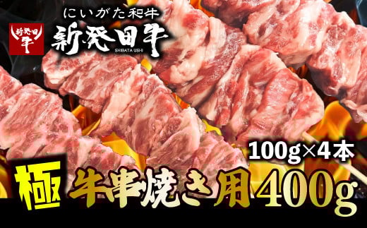 
            牛串 100g×4本 新発田牛 串焼き 和牛 ブランド にいがた和牛 黒毛和牛 焼肉 焼き肉 やきにく 牛肉 バーベキュー BBQ キャンプ 時短 簡単 料理 調理 おつまみ 冷凍 アルビレックス アルビレックス新潟 えのもとミート
          