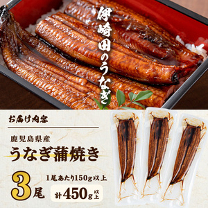 【数量限定】鹿児島県産 伊崎田のうなぎ蒲焼 中＜150g以上＞× 3尾(計450g以上) 鰻 うなぎ ウナギ 蒲焼き 3尾 国産 九州産 鹿児島県産 冷凍 おつまみ 鰻重 うな丼 b1-020