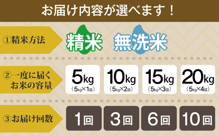 米 精米 令和7年産 コシヒカリ 20kg お米マイスター 福島県産 田村市