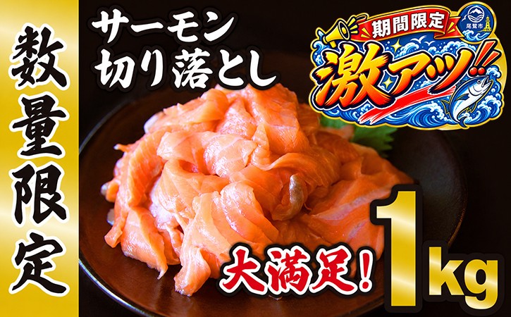 
                  訳あり 生食用 サーモン 切り落とし 大満足 1kg 500g×2 パック 50セット 小分け 鮭 サーモン アトランティックサーモン さけ シャケ しゃけ sake カルパッチョ ソテー レアステーキ 人気 高級 大満足 美味しい 贈答 生食用 刺身 お刺身 刺し身 魚介類 海鮮 冷凍 厚切り 薄切り ふるさと納税 ふるさとチョイス 三重県 尾鷲市 OB-17
                