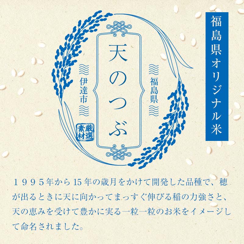2026年産米 さいとう農園が作った天のつぶ 精米5kg 白米 【先行予約】2026年11月下旬より順次発送 ご飯 ごはん ライス 伊達市 F21C-167