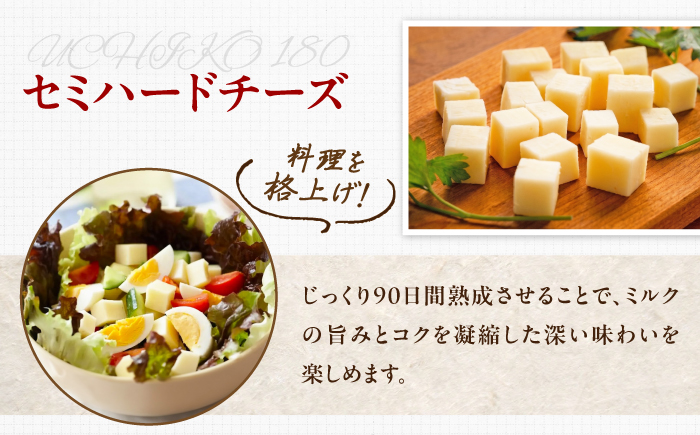 山地放牧酪農ミルクのセミハードチーズ（UCHIKO180）3個セット/チーズ   愛媛県 伝統製法 おつまみ 乳製品/株式会社醍醐 [BKAH010]