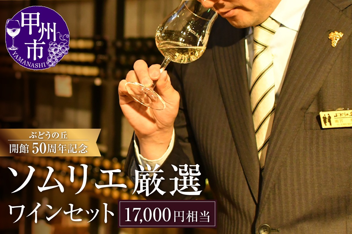 
            勝沼ぶどうの丘ソムリエ厳選ワインセット（17,000円相当）（KBO）H-653【ワイン 勝沼ぶどうの丘 甲州ワイン 山梨県 甲州市】
          