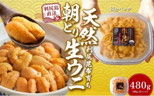【2026年発送受付】利尻島産「朝どり」塩水生うに480g (80g×6) 天然キタムラサキウニ【6~8月発送分】｜北海道 朝獲れ 天然 塩水  無添加 ミョウバン不使用 [1090022]