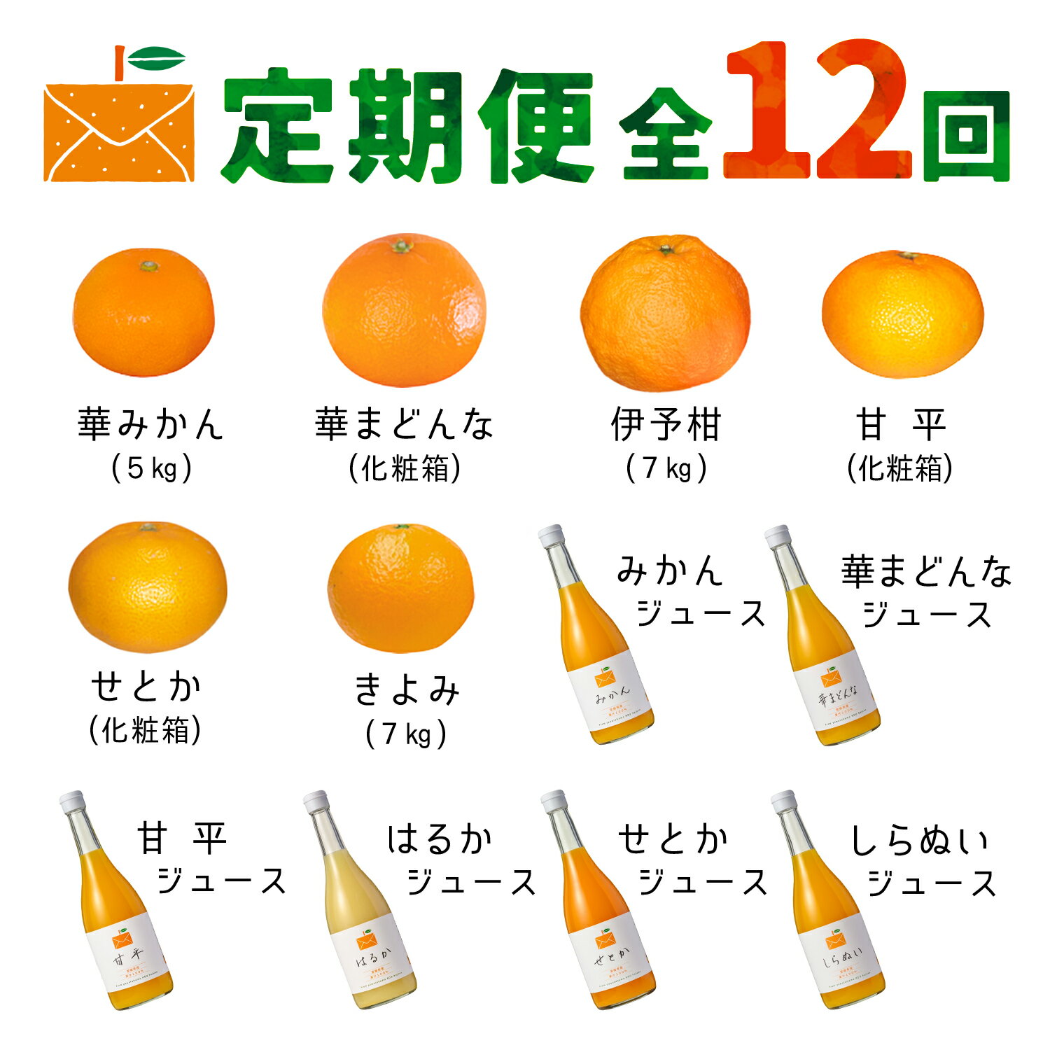 【ふるさと納税】【発送月固定定期便】コウ果樹園の旬の柑橘定期便(11月-10月)【H33-41】全12回_ 定期便 みかん みかんジュース ミカン まどんな せとか 愛媛県 フルーツ 果物 くだもの 柑橘 かんきつ 人気 産地直送 産直 ジューシー 甘い 果汁 【4052190】