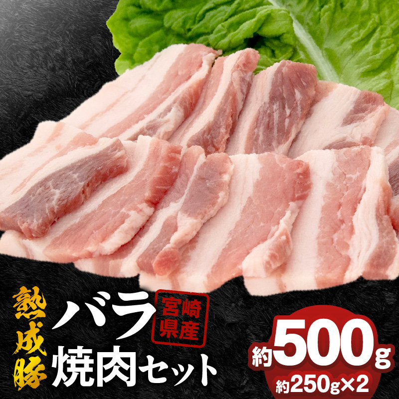 宮崎県産熟成豚 バラ焼肉セット 約250g×2個 N0105-YA2282 約250g×2個