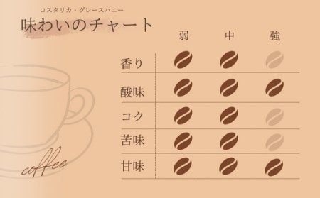 【自家焙煎】カフェ・フランドル コスタリカ・PNグレースハニー（200g・粉） 2025/9/19～