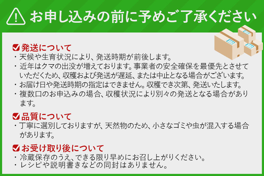 《先行受付》行者ニンニク 約1kg [山菜 行者にんにく 自然栽培 野菜 天然 天然山菜 国産 先行予約 秋田熊の子山菜便 秋田県産]
