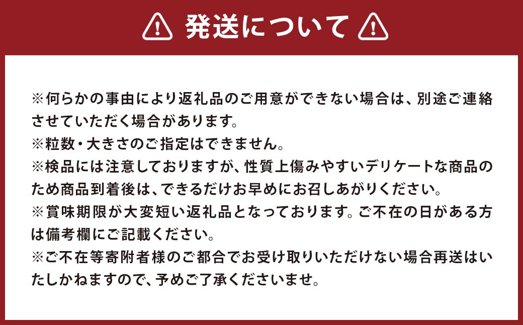 【訳あり】ミニトマト『アイコ』約2kg