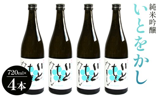 
                  白ワインのようなお酒！純米吟醸いとをかし酒720ml×4本 高木酒造 豊能梅 プレゼント ギフト 地酒 土佐酒 人気日本酒 高知酵母 受賞酒 贈り物 贈答 家飲み 晩酌 日本酒 gs-0172
                