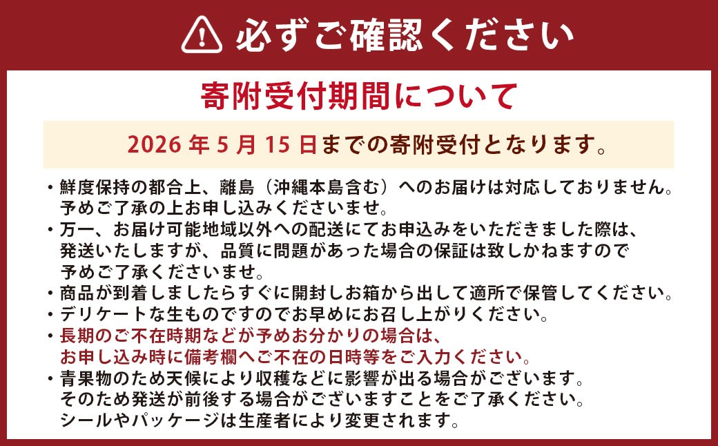 熊本県産スイカ 紅まくら 約5kg
