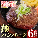 【ふるさと納税】生食感ハンバーグ！やまさきの焼肉A5ランク極ハンバーグ150g×6袋(合計900g)国産 肉 牛 牛肉 総菜 冷凍ハンバーグ おかず 簡単 冷凍 個包装 小分け 一人暮らし 牛100%【やまさき】