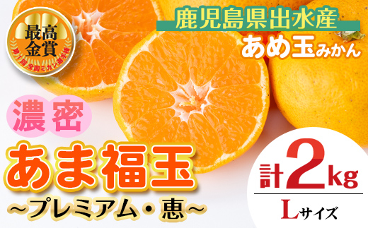 i1364-F 先行予約受付中！＜2026年11月中旬〜2027年1月下旬の間に発送予定＞【特別栽培・最高金賞】【特別栽培・最高金賞】あめ玉みかん・大玉サイズ  あま福玉 〜プレミアム〜 ( 恵 / 約2kg (20玉・Lサイズ) ミカン 果物 ギフト プレゼント 贈答用 贈り物 【Farmer friends Marche】