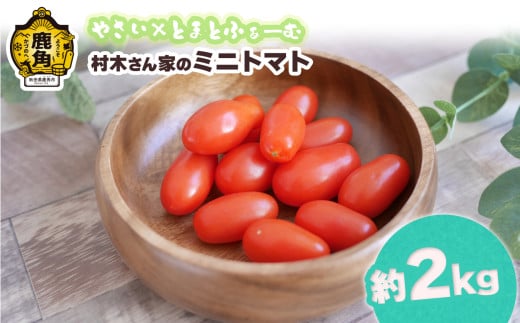 村木さん家の ミニトマト2kg【やさい×とまとふぁーむ】●2025年7月下旬発送開始 トマト 野菜 新鮮 旬 県産 国産 お中元 お歳暮 母の日 父の日 グルメ ギフト 故郷 秋田 あきた 鹿角市 鹿角 送料無料