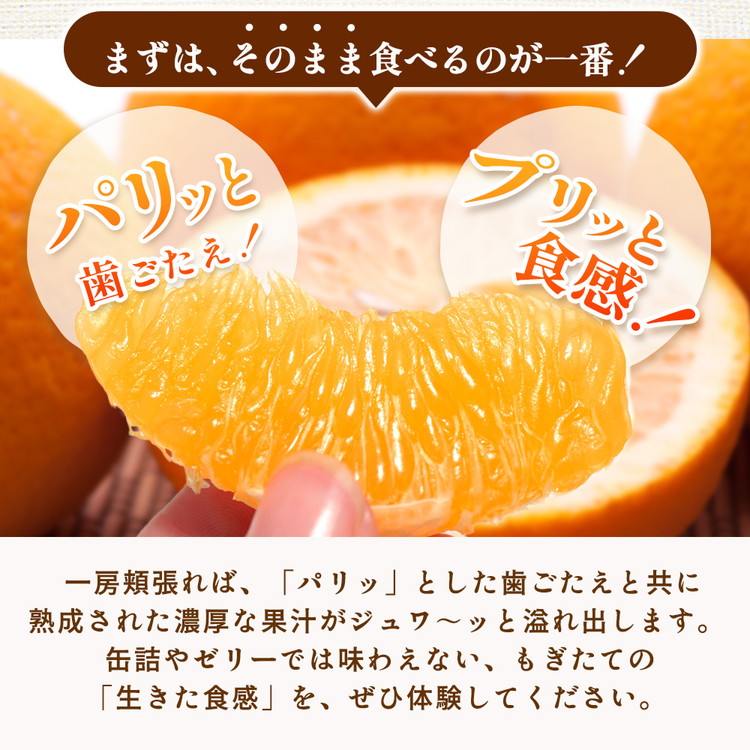 ＜1月より発送＞厳選はっさく7.5kg+250g（傷み補償分） ｜ 八朔みかん ハッサク ◇