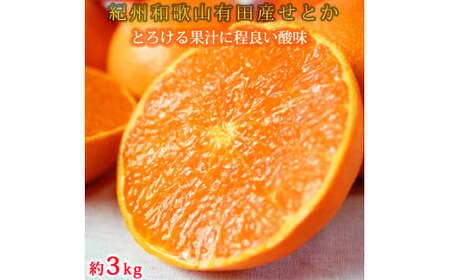 定期便【全4回/1・2・3・4月】旬の柑橘定期便 / みかん ミカン 柑橘 オレンジ 果物 くだもの フルーツ フルーツ定期便 和歌山【tkb416】