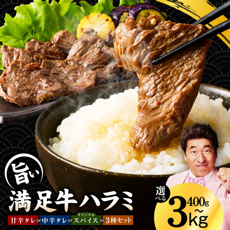 【ふるさと納税】満足牛 ハラミ 選べる 種類 内容量 オリジナルスパイス / 甘辛 / 中辛タレ / 3種セット 400g / 1kg / 1.5kg / 2kg / 2.5kg / 3kg 小分け 焼くだけ 簡単調理 ハラミ丼 野菜炒め 肉 焼き肉 BBQ 牛肉 お取り寄せグルメ 大阪府 泉佐野市 送料無料 肉の泉佐野