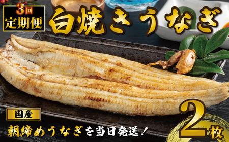 国産うなぎ 白焼き 2枚 約120g×2 定期便3回 うなぎ うなぎ うなぎ うなぎ うなぎ 石毛川魚店