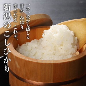 令和7年産 新潟県産 コシヒカリ 10kg (5kg×2袋) 坂井ファーム 特別栽培米コシヒカリ 新潟 新発田 米 玄米 精米 白米 ご飯 おにぎり 弁当 こしひかり おこめ せいだ 新潟 新発田 D