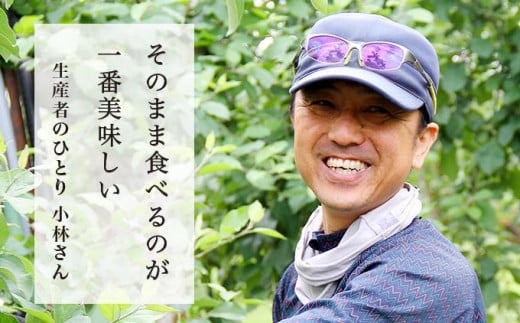 元調理師の小林さんが「そのまま食べるのが一番」と太鼓判を押すりんご。