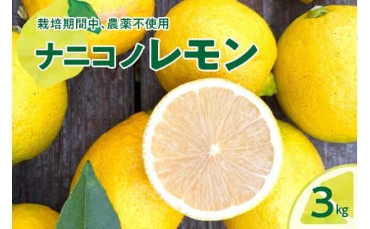 【2025年12月下旬～発送】ナニコノレモン 3kg ku149-001-25