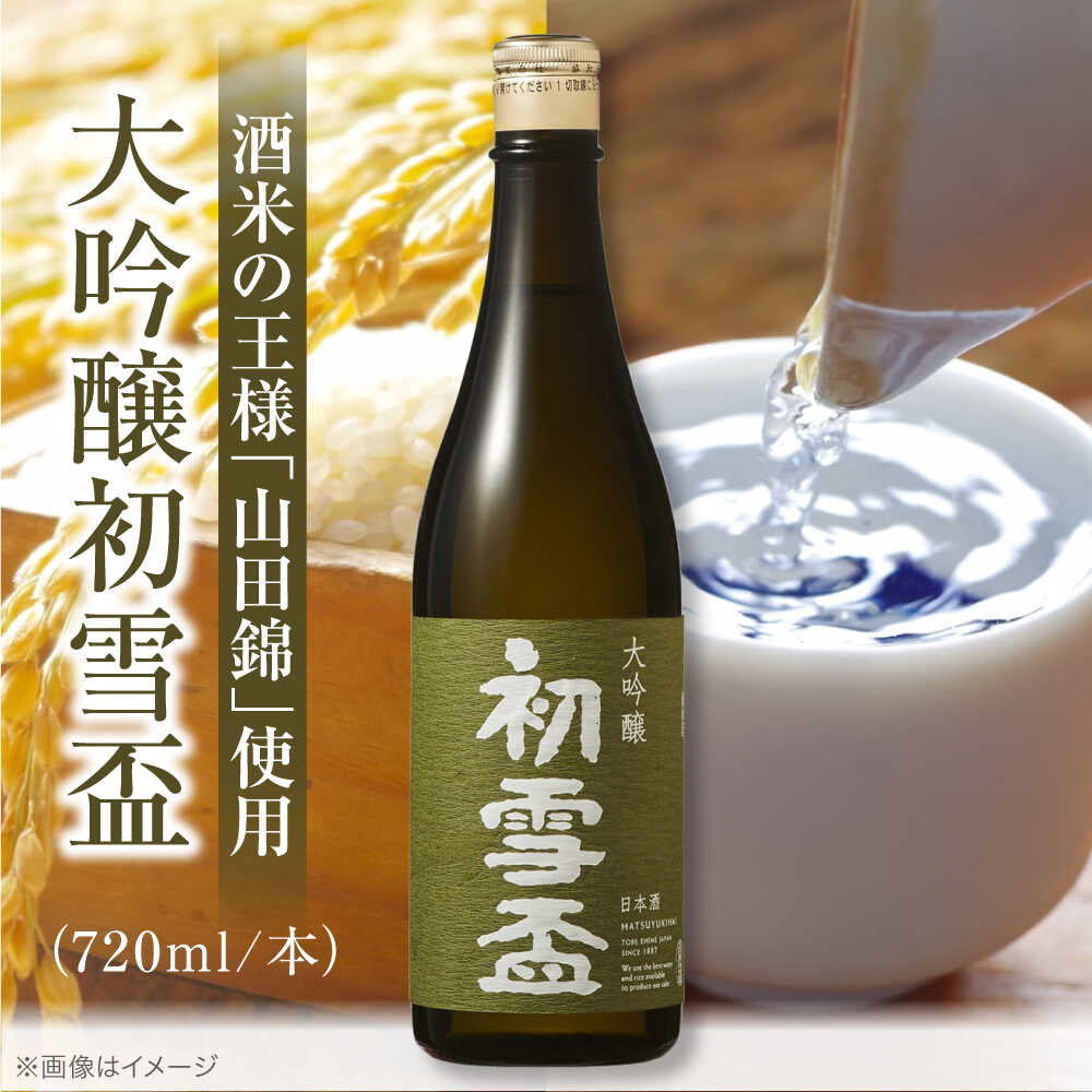 【ふるさと納税】日本酒 初雪盃 大吟醸 720ml / 日本酒 大吟醸 初雪盃 山田錦 地酒 名酒 辛口 冷酒 食中酒 華やか 香り 愛媛 晩酌 伝統 老舗 蔵元 産直 宅飲み 家飲み 贈答 プレゼント ギフト お祝い 人気 おすすめ / 愛媛県砥部町/協和酒造株式会社[BJAD002]