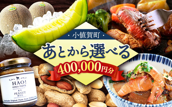 
            【あとから選べる】小値賀町ふるさとギフト 40万円分　長崎県 小値賀町 [DYZ013] [DYZ013]
          