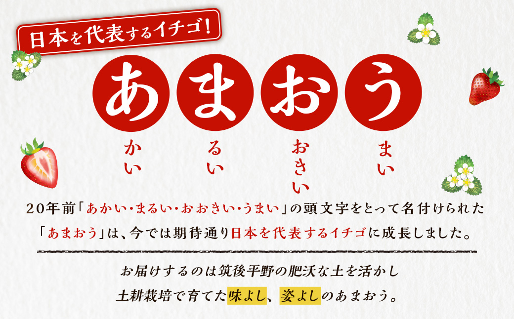 Green's 「いちごの王様」目指す福岡県産あまおう 250g×4パック 4月分 あまおう いちご イチゴ 苺 フルーツ 果物 冷蔵 送料無料 福岡県 うきは市 【2026年4月上旬〜4月中旬より順